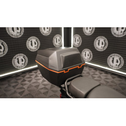 NEOVOLT ECO-FLY 60V 250W