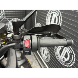 QJ MOTOR SRT 900 SX