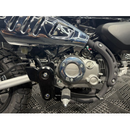 HONDA MONKEY 125