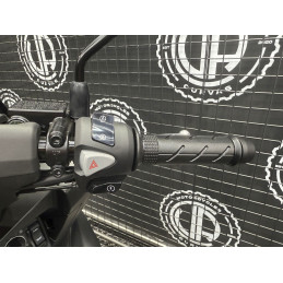 HONDA PCX 125 DX (CAMPANHA EM VIGOR)