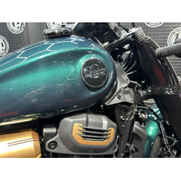 CYCLONE RA600 (CAMPANHA EM VIGOR)