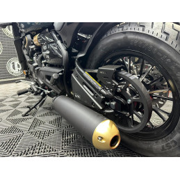 CYCLONE RA600 (CAMPANHA EM VIGOR)