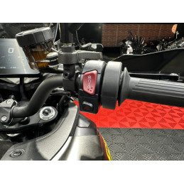 QJ MOTOR SRT 900 SX (USADA)